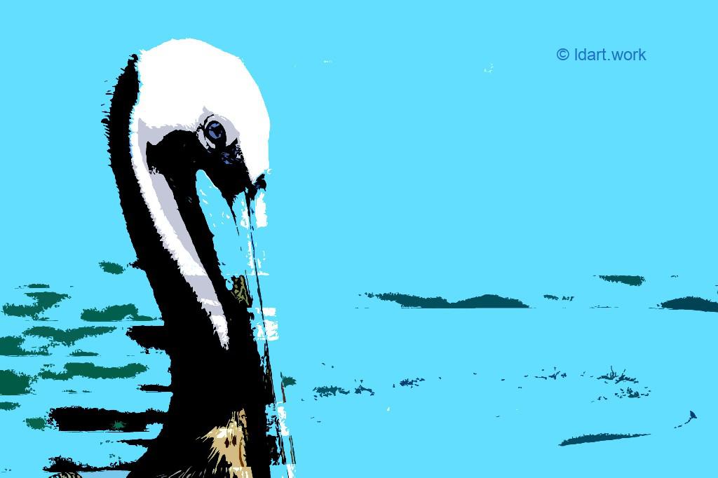 pelican head, fotoprint
