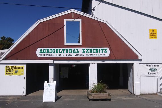 Marshfield farmer's market