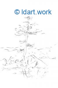 Drawing a pine tree - Dessiner un pin | Reflexion 041422 2 drawing a pine tree 2