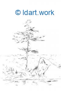 Drawing a pine tree - Dessiner un pin | Reflexion 041422 3 drawing a pine tree 3