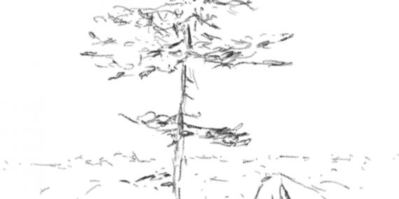 Drawing a pine tree - Dessiner un pin | Reflexion 041422 1