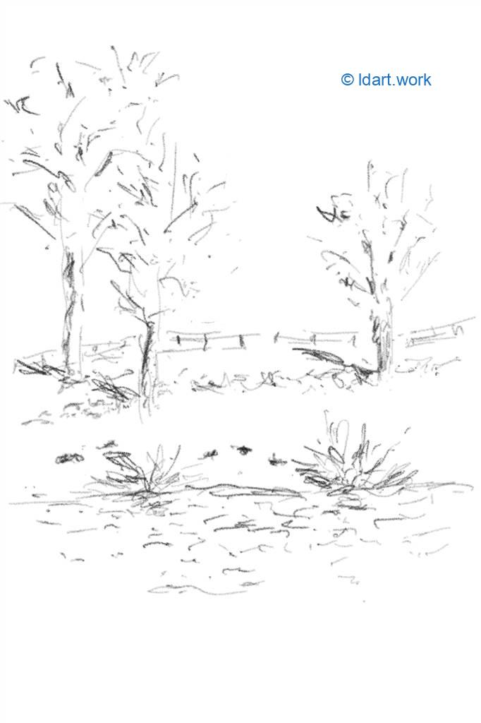 Drawing a pond - Dessiner un étang | Reflexion 062922 2