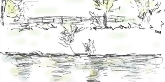 drawing a small pond