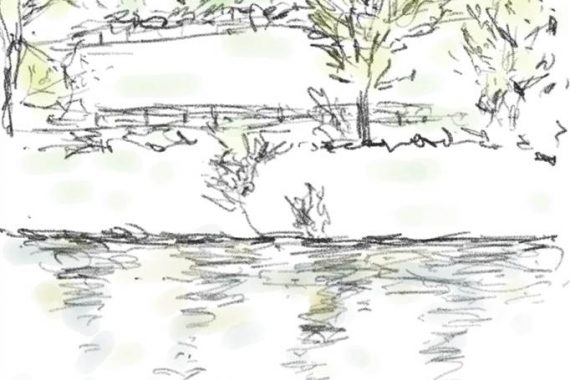 drawing a small pond