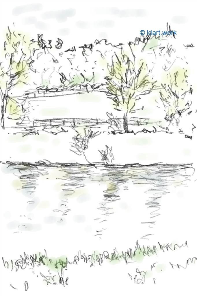 Drawing a pond - Dessiner un étang | Reflexion 062922 3