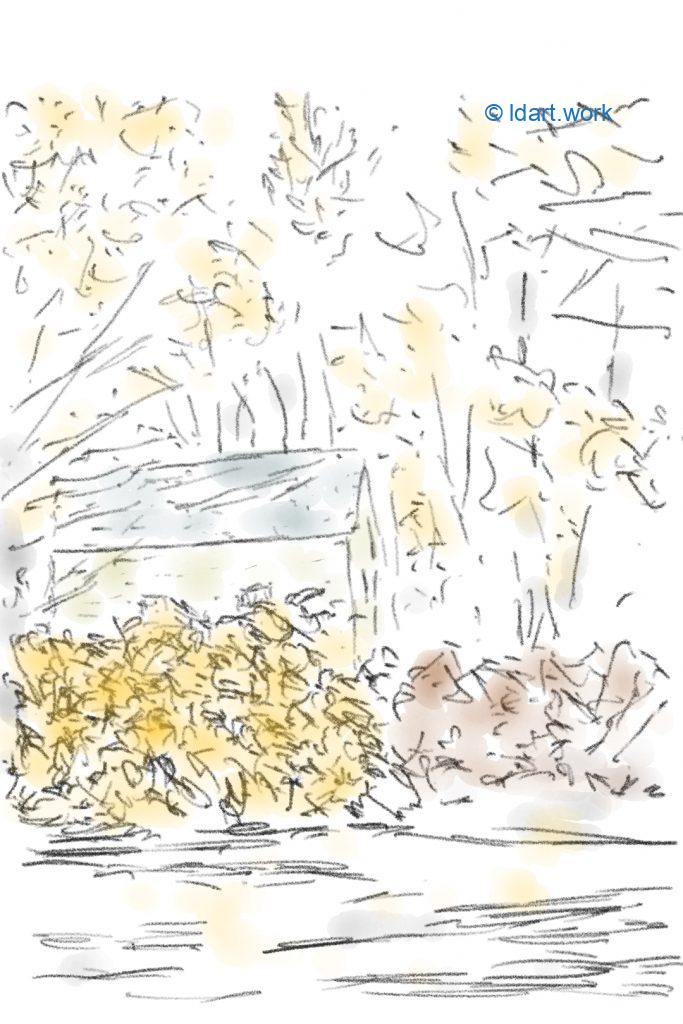 Drawing during Fall - Dessiner en automne | Reflexion 102522 2