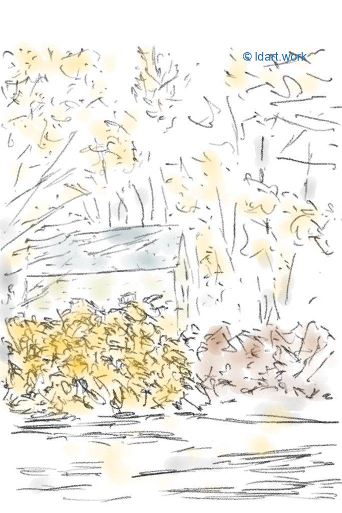Drawing during Fall - Dessiner en automne | Reflexion 102522 4 Drawing during Fall - Dessiner en automne | Reflexion 102522 2