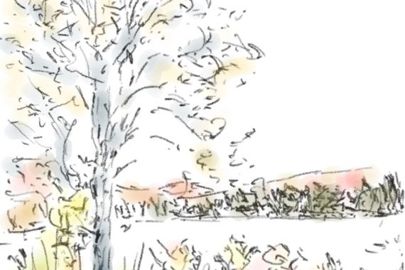 Drawing during Fall - Dessiner en automne | Reflexion 102522 1