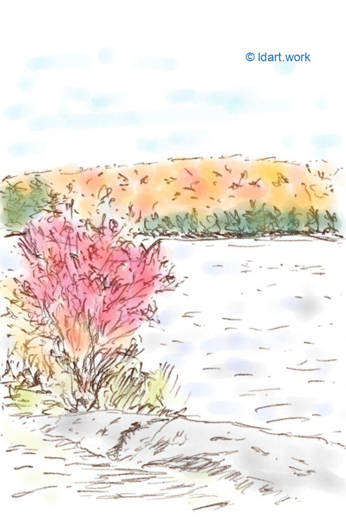 Drawing during Fall - Dessiner en automne | Reflexion 102522 1