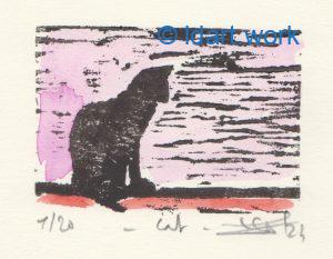 Fall-Winter 2024-25 Enewsletter/Lettre d'infos automne-hiver 2 cat-chat