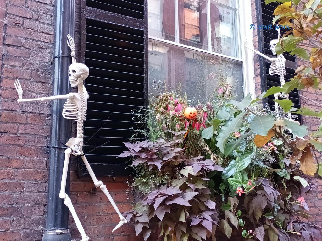 Halloween on Beacon Hill, a Boston tradition | une tradition 3