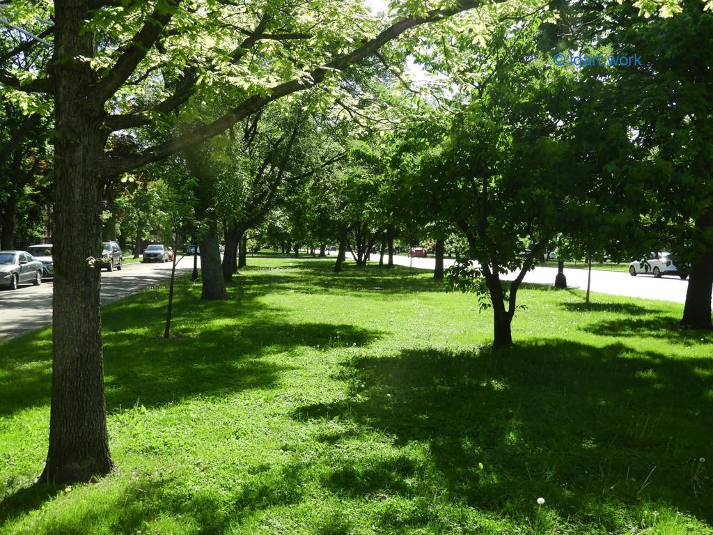 Chicago Boulevards, a 19th century innovation | et un succés 1