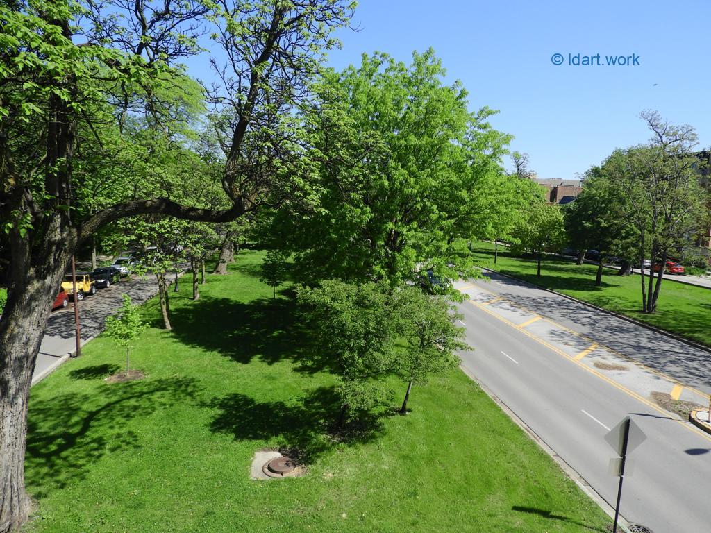 Chicago Boulevards, a 19th century innovation | et un succés 4