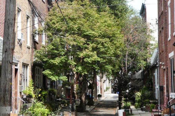 Another one of Philadelphia 16000 alleys