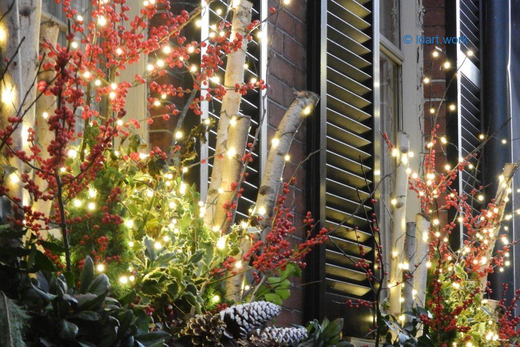 New photos (from around the world) - Nouvelles photos | 2026 3