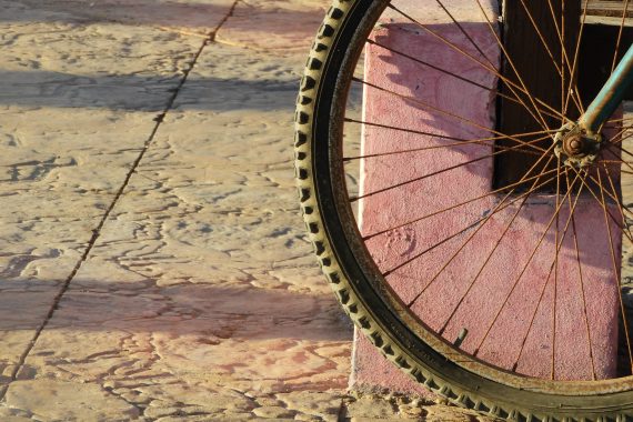 New photos (from around the world) - Nouvelles photos | 2026 3