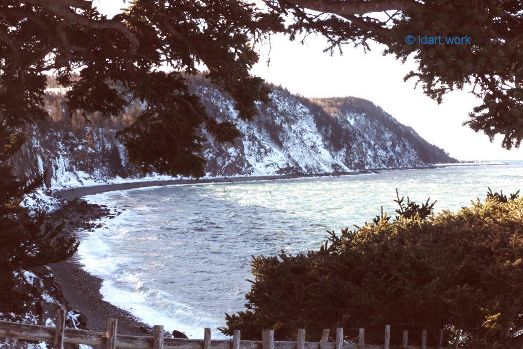 From New Images Grand Manan Island 2026