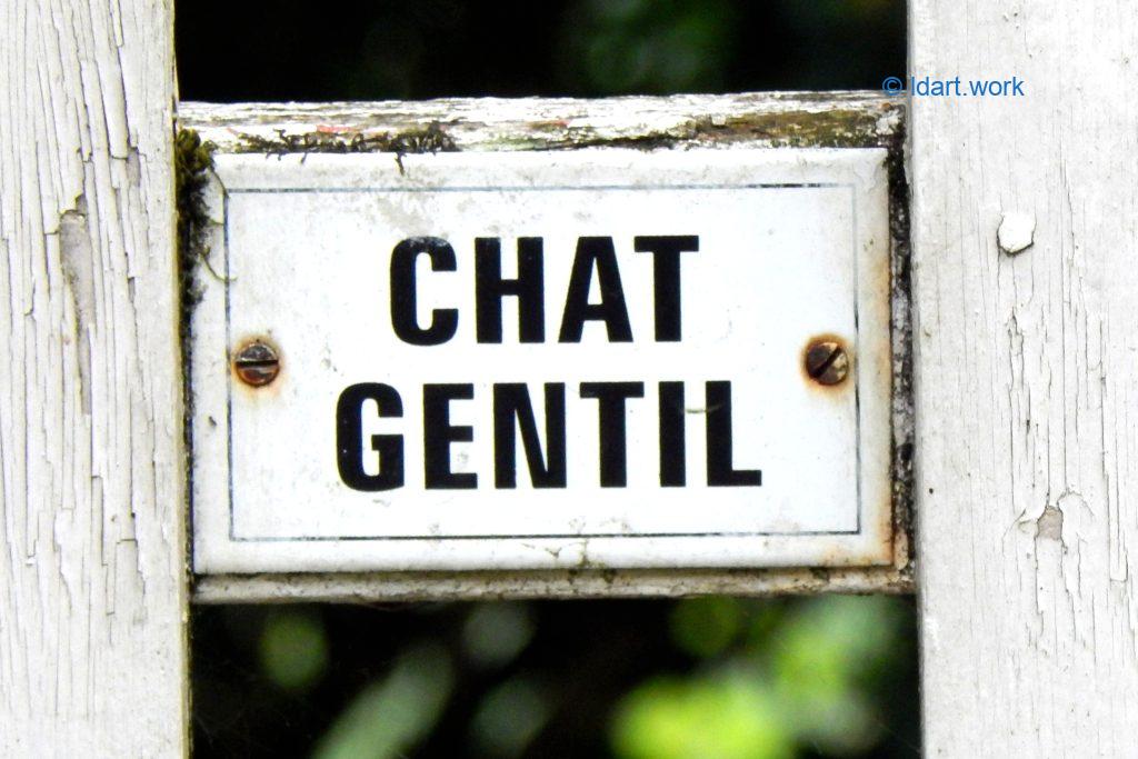 30 unique.s photos: Canada, Costa Rica, France, Mexico, USA 12