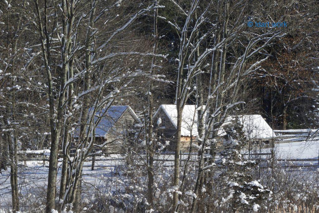 30 unique.s photos: Canada, Costa Rica, France, Mexico, USA 6