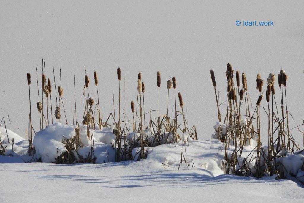 30 unique.s photos: Canada, Costa Rica, France, Mexico, USA 7